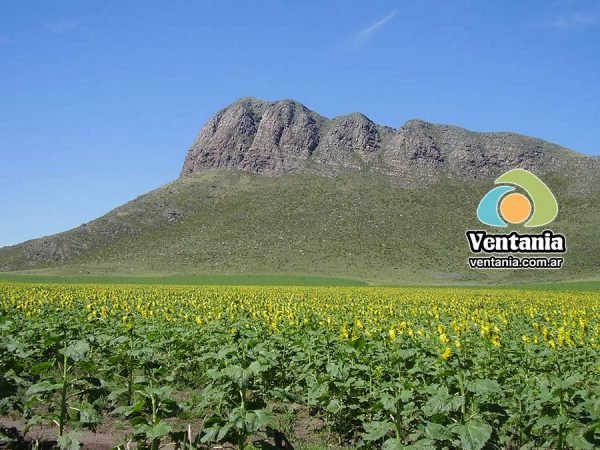 Cerro Pan de Azúcar - Villa Ventana