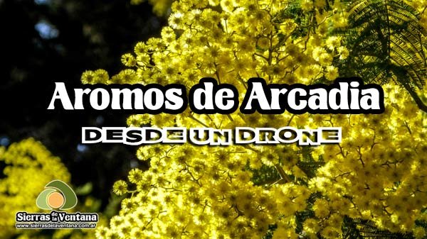 Aromos en Villa Arcadia de Sierra de la Ventana - Villa Ventana